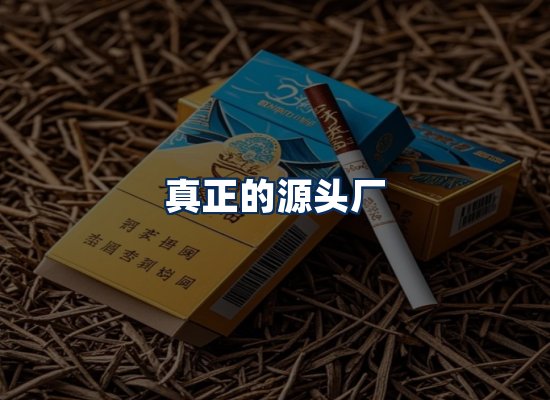 专业团队办公环境